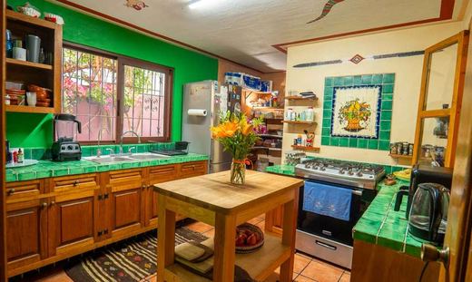 Casa Flor - Ajijic Village, photograph 7
