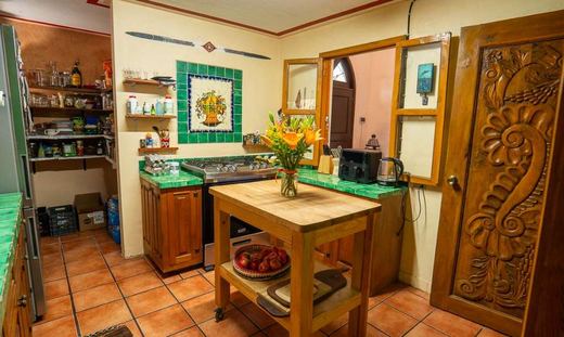 Casa Flor - Ajijic Village, photograph 8