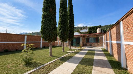 SAN Luis Cipreses, photograph 3