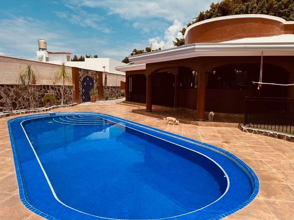 Cool Contemporary in La Floresta