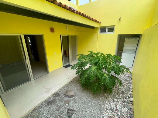 Chapala Dream, photograph 8
