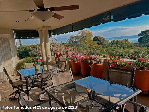 EL Palmar Courtyard, photograph 11