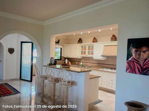 EL Palmar Courtyard, photograph 7