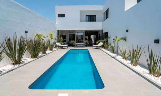 Modern Delight, photograph 2