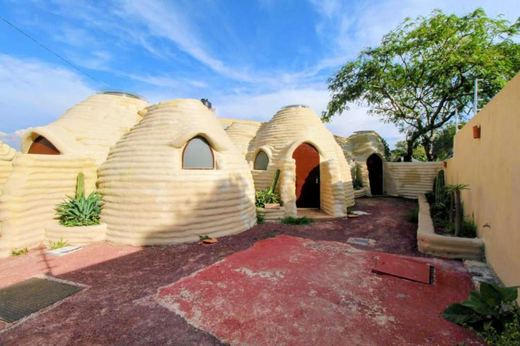 5 Unidades Cactáceo in Chapala