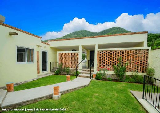 Casa Nova, photograph 9