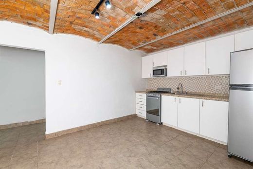 Duplex Chapala, photograph 7