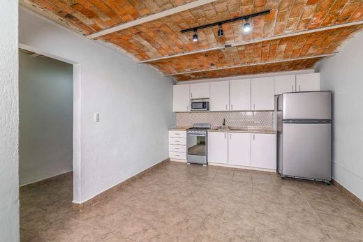 Duplex Chapala, photograph 8
