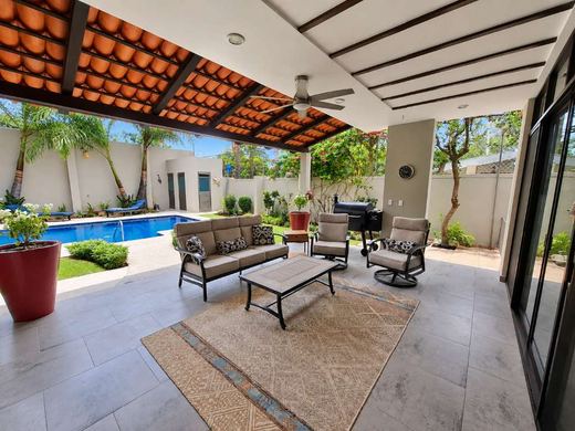 Floresta Rincon Oasis, photograph 7
