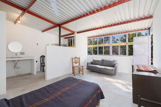 Oasis Sereno Estate, photograph 10