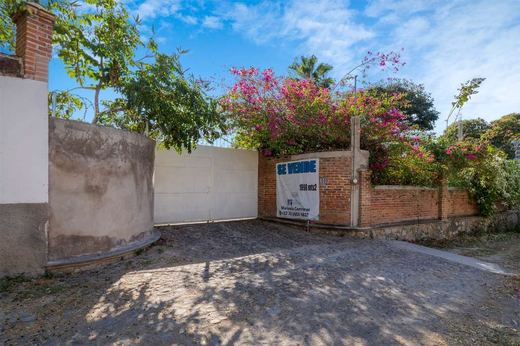 Oasis Sereno Estate, photograph 4