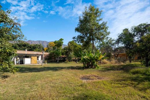 Oasis Sereno Estate, photograph 6