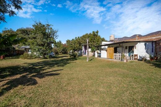 Oasis Sereno Estate, photograph 8