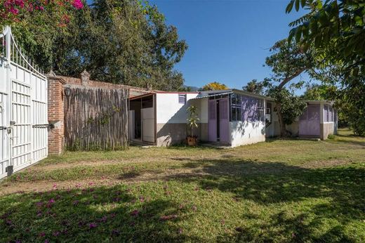 Oasis Sereno Estate, photograph 9