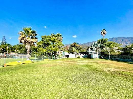 Ajijic Lakefront, photograph 4