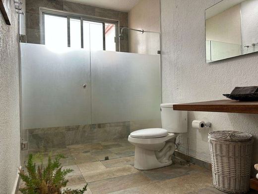 Finca Campestre, photograph 10