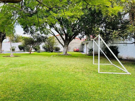 Finca Campestre, photograph 4