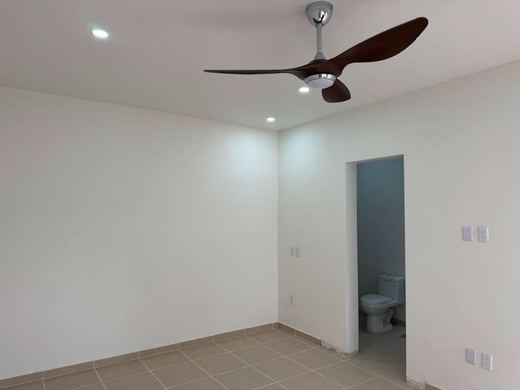 Casa Primavera 83, photograph 10