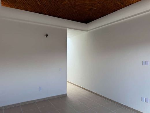 Casa Primavera 83, photograph 12
