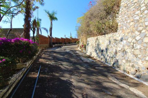Hacienda del Oro, photograph 4